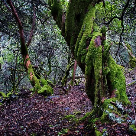 Rural Cristania Lantställe Caminomorisco