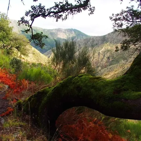 Rural Cristania Kır Evi