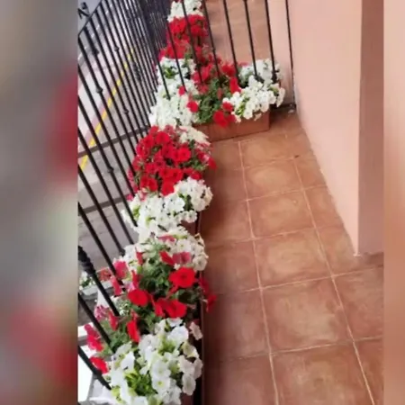 Rural Cristania Caminomorisco