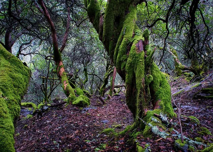 Rural Cristania Casa di campagna Caminomorisco