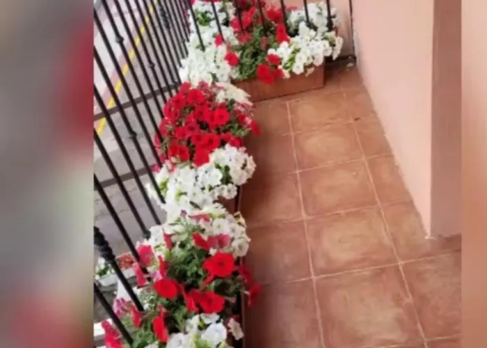 Rural Cristania Caminomorisco